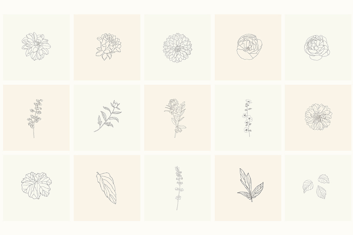 Hand Drawn Floral Elements. Frames, a Seasonal Illustration by Designwork (Photo 5 of 22)