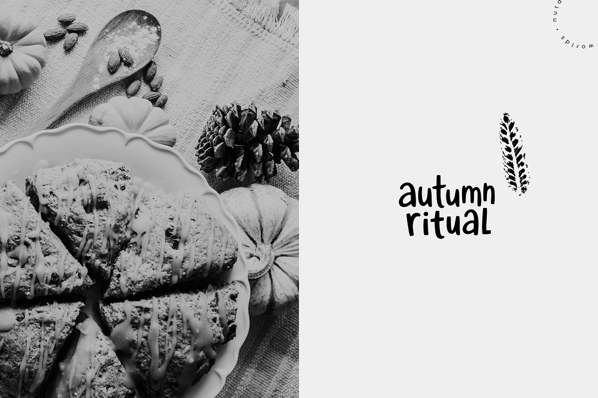 Autumn Forest Imprints | Vector Pack, an Object Illustration by Nutalin Art (Photo 11 of 13)