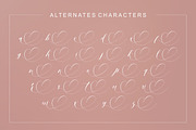 Ambition Bright, a Script Font by Artic Type (Thumbnail 7 of 9)