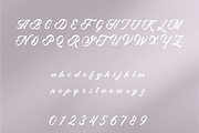 Quismo Script Font, a Script Font by Creative Foundry (Thumbnail 6 of 8)