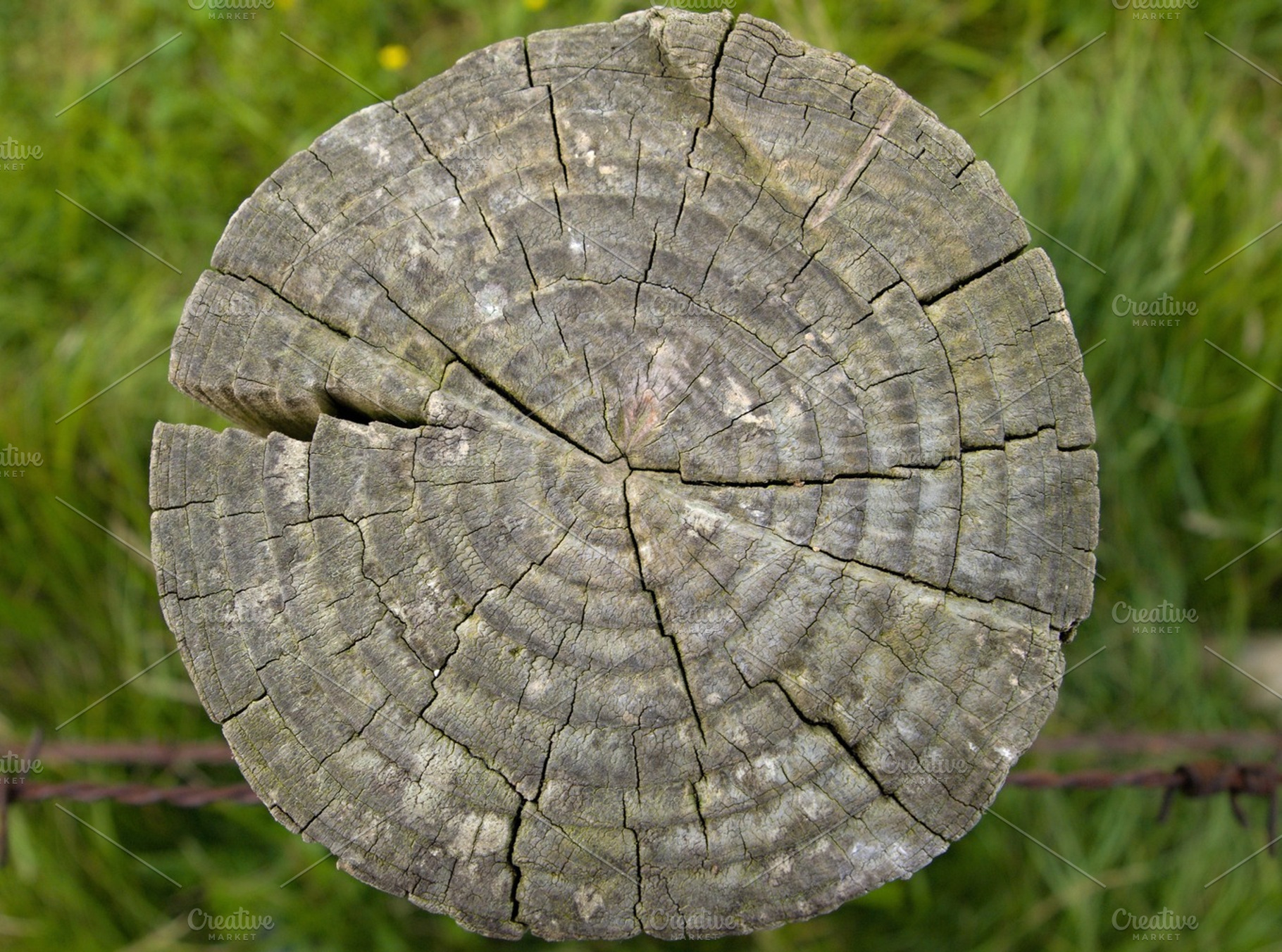 Old Wood Containing Wood Old And Fence