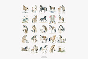 horse clipart horse illustration set, an Illustration by Patishop Art (Thumbnail 9 of 10)
