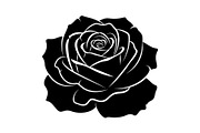 50 Black Rose Silhouette Vector Bund, an Illustration by Gaye Art (Thumbnail 21 of 51)
