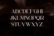 Papillon - Handcrafted Serif Font, a Serif Font by VP Fonts (Thumbnail 2 of 13)