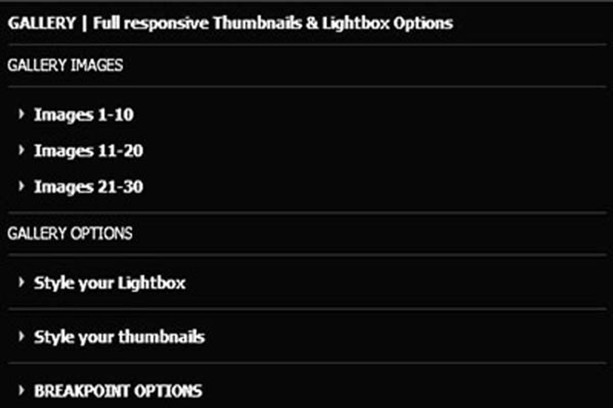 Full responsive Gallery, a Plug-in Add-On by Spark Tools (Photo 2 of 5)
