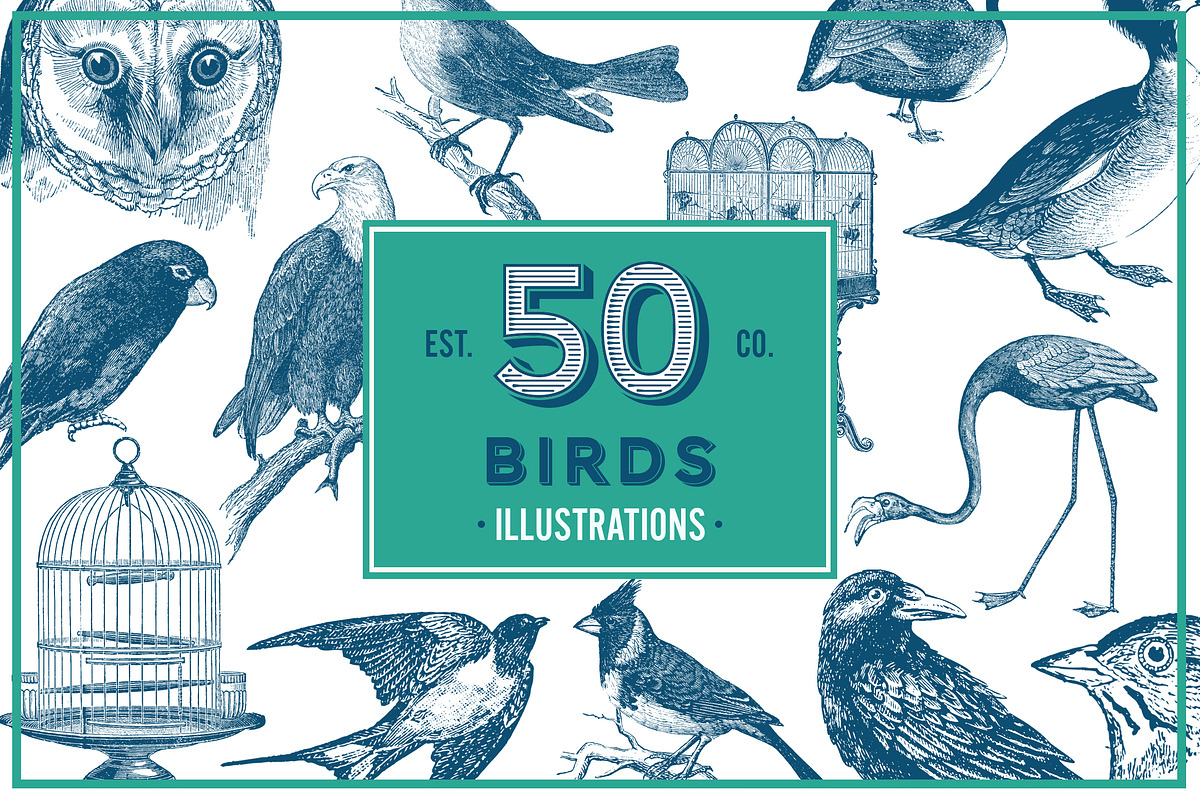 Vintage Illustrations - Free Update, an Animal Illustration by hypegraphic (Photo 6 of 12)