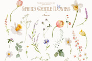 Watercolor Spring Gentle Flowers, a Decorative Illustration by Pamyatka Shop (Thumbnail 11 of 12)