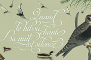 Auberge Script, a Script Font by Sudtipos (Thumbnail 3 of 11)