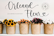 Clarine Julian - Heart and Tail Font, a Script Font by Balpirick Studio (Thumbnail 4 of 6)