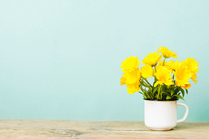 Yellow marigold with a white circle