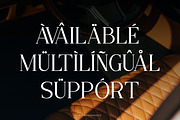 Sefiely - Modern Serif Font, a Serif Font by Flawless And Co (Thumbnail 10 of 10)
