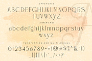 Blosvet, a Serif Font by ToniStudio (Thumbnail 7 of 12)