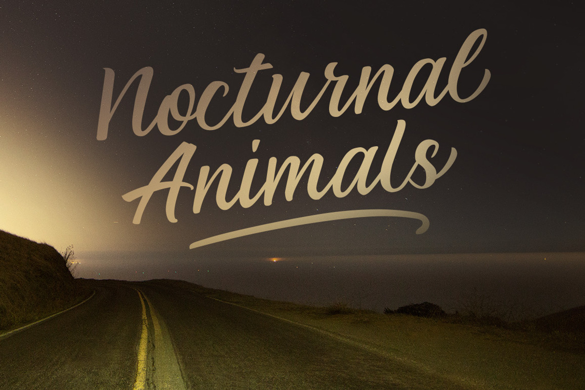 Nocturne Brush Font preview 4