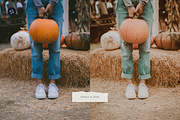 West Fall – 5 Lightroom Presets Pack, a Preset Add-On by SHOOM HOUSE (Thumbnail 6 of 7)