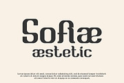 Briesa - Modern Elegant Display Font, a Font by Mily Studio (Thumbnail 3 of 15)