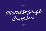 Monoliner, a Font by Swandtype (Thumbnail 6 of 7)