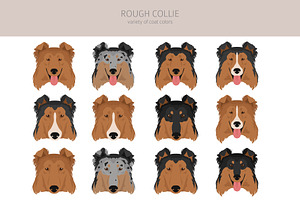 Rough Collie Clipart