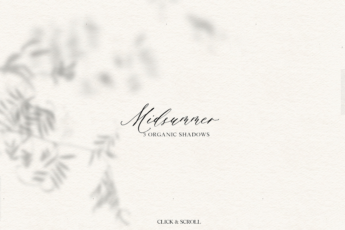 Midsummer - field flowers clipart, a Decorative Illustration by whiteheartdesign (Photo 8 of 16)
