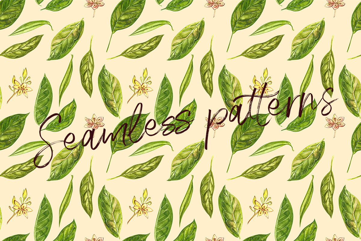 Avocado in botanical style, a Food Illustration by Ann Astro (Photo 11 of 13)