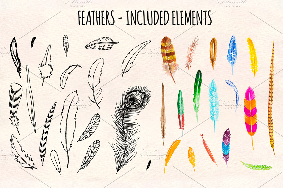 Feathers Watercolor and Ink Bundle, an Animal Illustration by Violet LeBeaux (Photo 1 of 4)