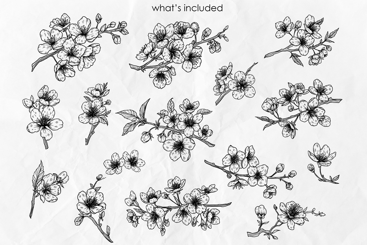 Sakura Flowers Line Art SVG, an Object Graphic by Dervik Art Store (Photo 4 of 9)