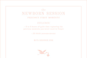 Newborn Photographer Marketing Card