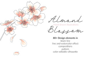 Almond Blossom