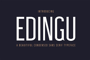 Edingu Sans Serif Font Family, a Sans Serif Font by Creativetacos