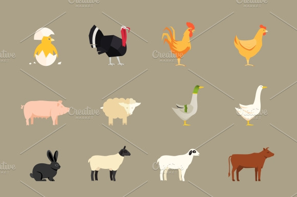 Farm Animals Set In Flat Style