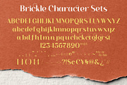 Brickle - Display Font, a Sans Serif Font by Almeera Std (Thumbnail 5 of 5)