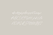 Scotty: a Social Media Quote Script, a Script Font by Margot + Co (Thumbnail 4 of 12)
