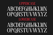 Romelly - A Modern Serif Font, a Serif Font by Marvadesign (Thumbnail 3 of 7)