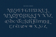 Dary, a Serif Font by zaaintype (Thumbnail 7 of 10)