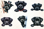 Watercolor Peeking Black Dog PNG Cli, an Illustration by DreamCafeArt (Thumbnail 2 of 7)