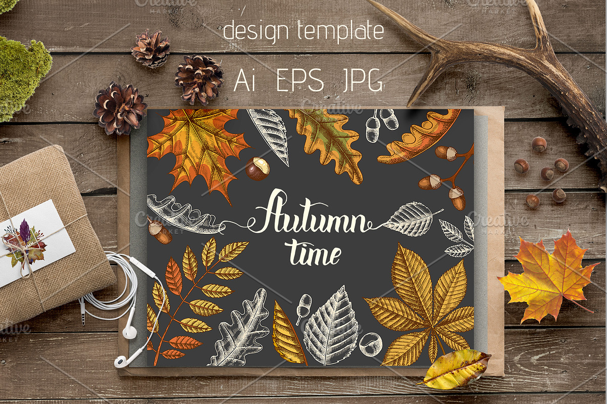Autumn leaves. Vector Collection, an Illustration by Tabiti (Photo 7 of 9)