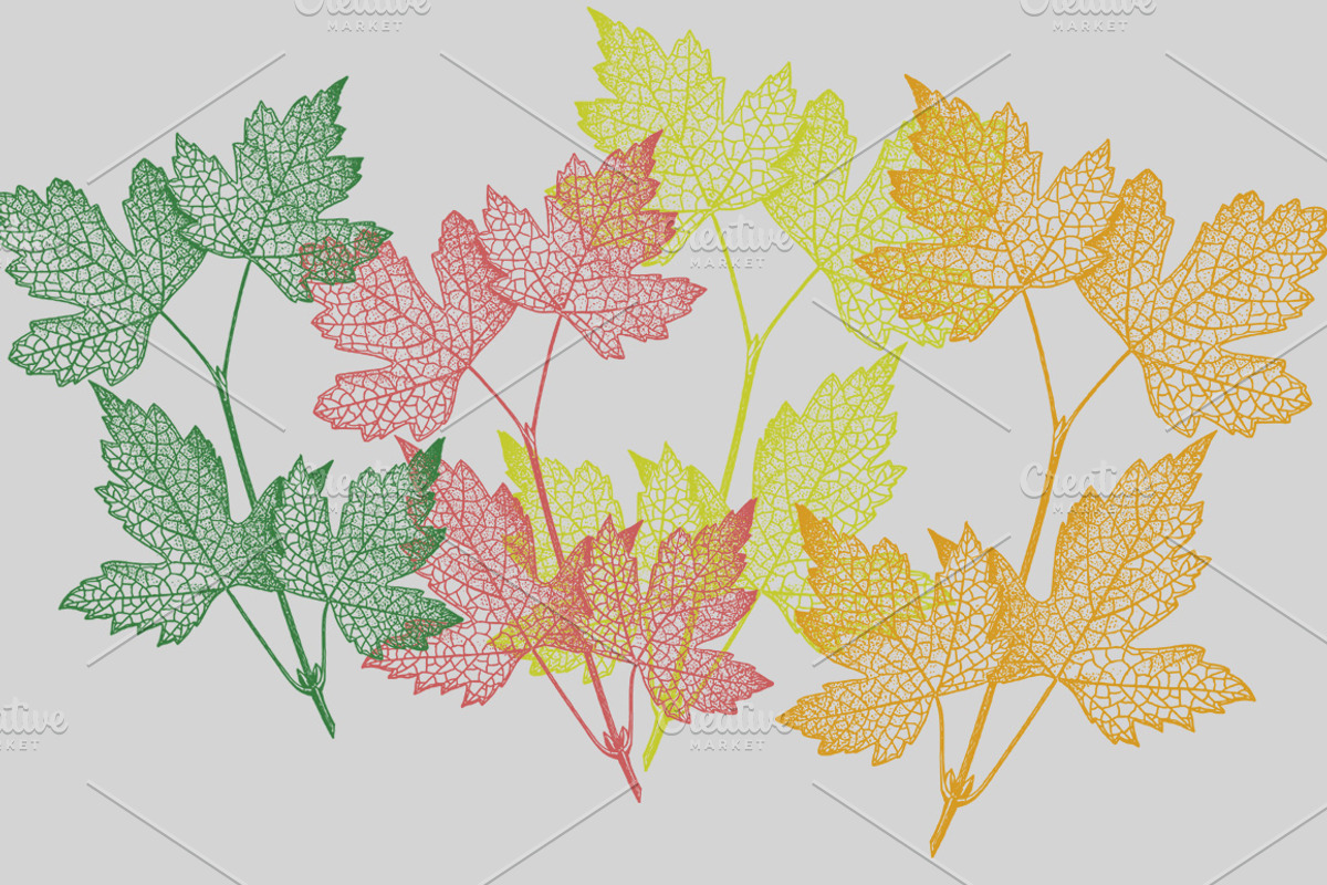 88 Skeleton Leaves PNG, an Object Graphic by Alexandra Fulger (Photo 5 of 6)