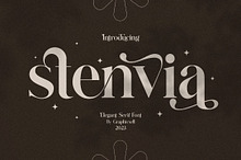 Stenvia Ligature Serif Font Typeface