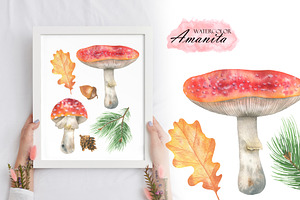 Watercolor Amanita