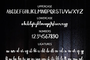 Dark Street - script font, a Script Font by Gennadi Digital Studio (Thumbnail 3 of 6)