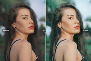 Wasabi Pro Lightroom Presets