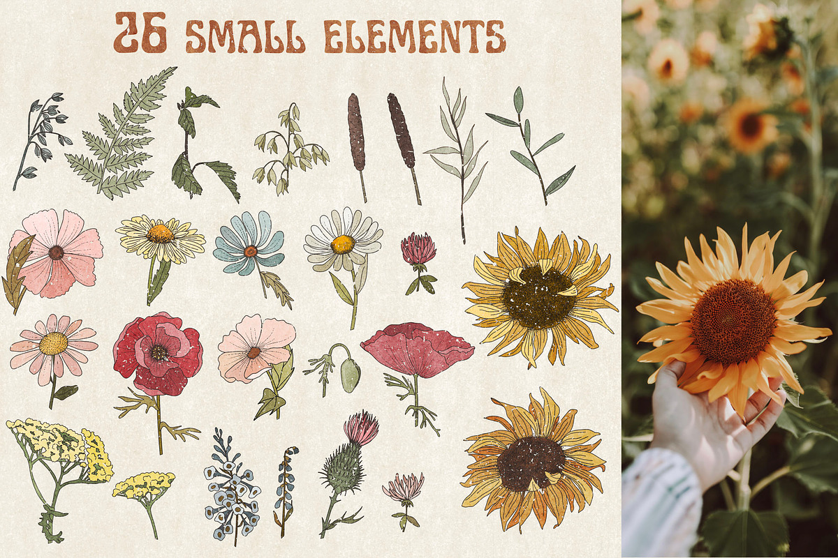 Retro field flowers & sunflowers, a Decorative Illustration by marie dricot (Photo 5 of 10)