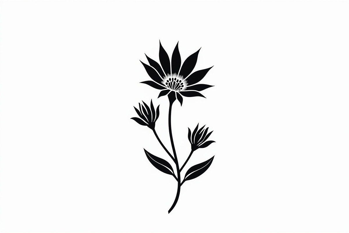 Black Floral Silhouette Set, an Illustration by balal (Photo 20 of 21)