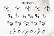 Daydream | Script Font, a Handwritten Font by Scratchones (Thumbnail 8 of 9)