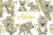 Koalas Collection | 22 Elements, an Animal Illustration by Jen Digital Art (Thumbnail 1 of 7)