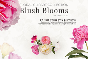 PNG Floral clipart collection