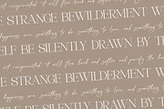 Asthelica Questak Modern Font Duo, a Serif Font by Storytype Studio (Thumbnail 9 of 15)