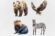 Watercolor Wildlife Nature Animals, an Animal Illustration by Rose Art (Thumbnail 3 of 4)