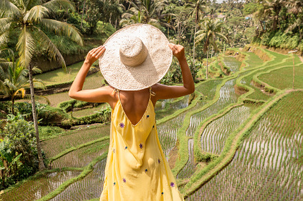 Never stop exploring our planet stock photo containing field and rice