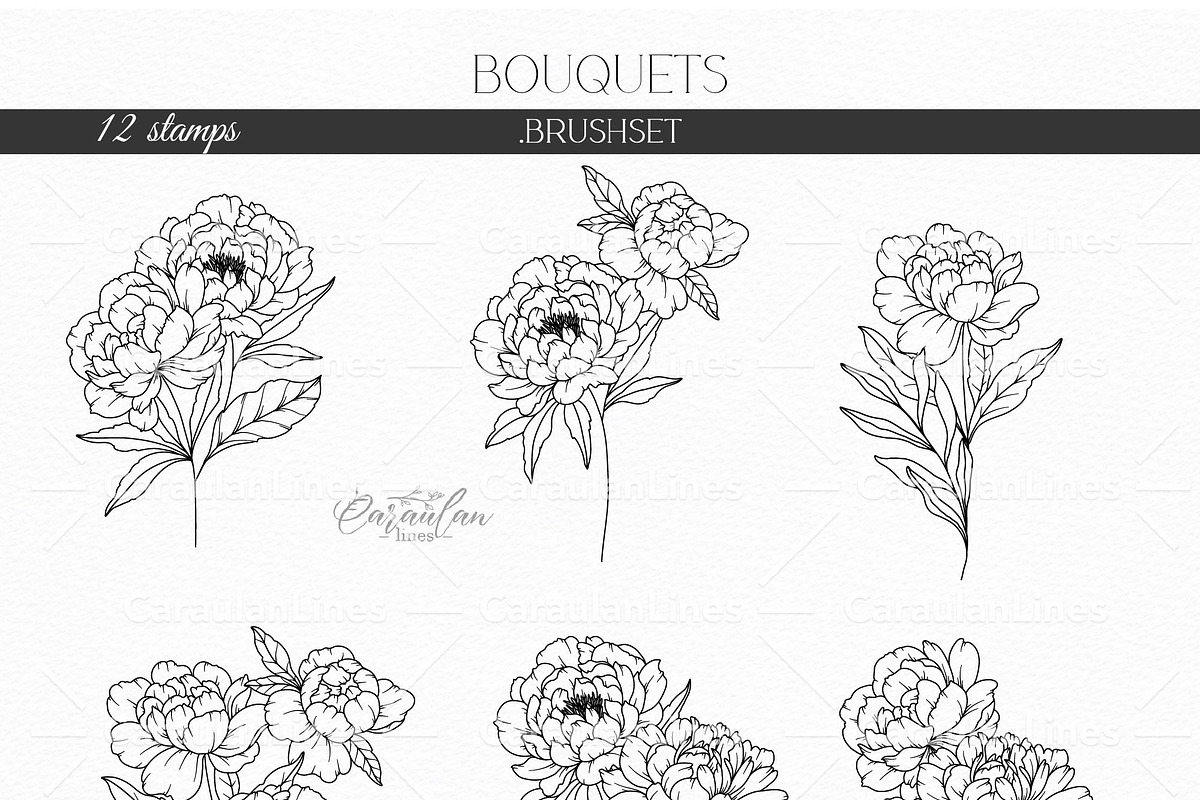 Procreate Floral Stamp, PEONY line art