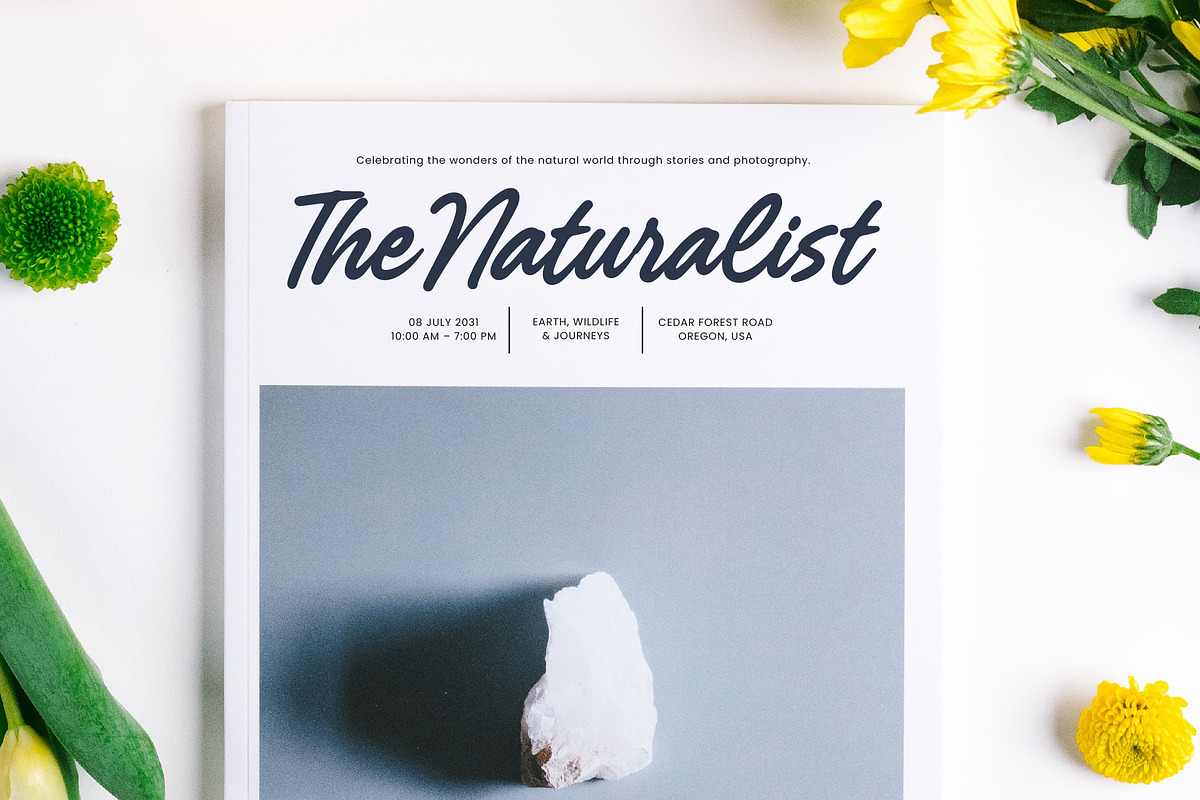Royal Cataloge Handwritten Script, a Script Font by Letterena Studios Script (Photo 3 of 10)